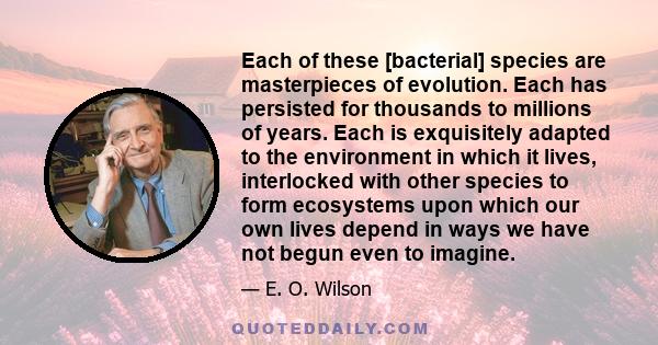 Each of these [bacterial] species are masterpieces of evolution. Each has persisted for thousands to millions of years. Each is exquisitely adapted to the environment in which it lives, interlocked with other species to 