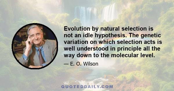 Evolution by natural selection is not an idle hypothesis. The genetic variation on which selection acts is well understood in principle all the way down to the molecular level.