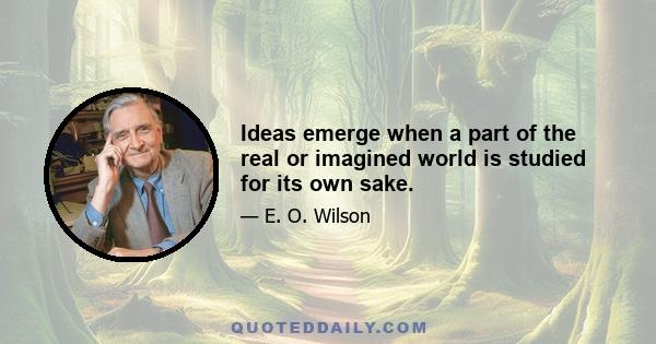 Ideas emerge when a part of the real or imagined world is studied for its own sake.