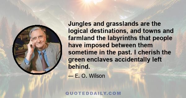 Jungles and grasslands are the logical destinations, and towns and farmland the labyrinths that people have imposed between them sometime in the past. I cherish the green enclaves accidentally left behind.