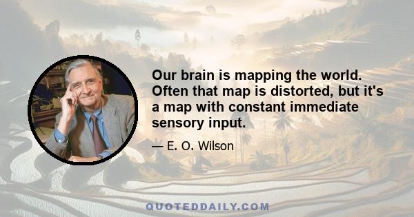 Our brain is mapping the world. Often that map is distorted, but it's a map with constant immediate sensory input.