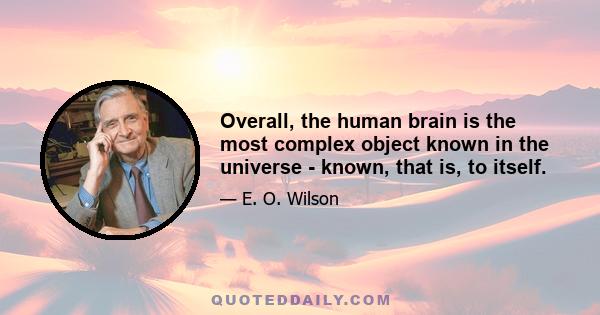 Overall, the human brain is the most complex object known in the universe - known, that is, to itself.