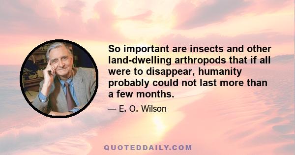 So important are insects and other land-dwelling arthropods that if all were to disappear, humanity probably could not last more than a few months.