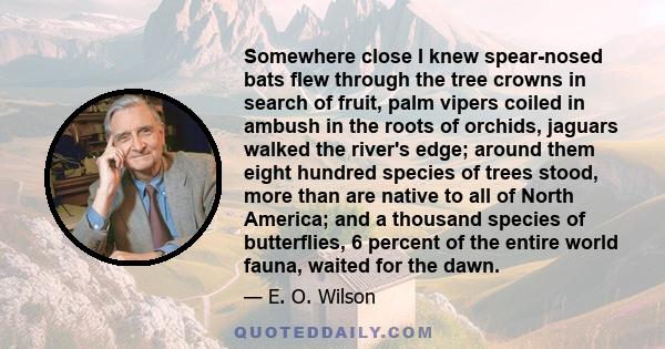 Somewhere close I knew spear-nosed bats flew through the tree crowns in search of fruit, palm vipers coiled in ambush in the roots of orchids, jaguars walked the river's edge; around them eight hundred species of trees