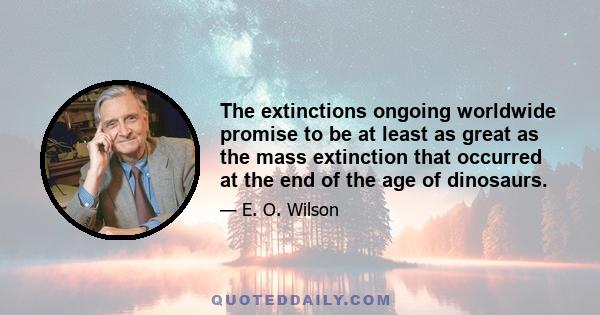 The extinctions ongoing worldwide promise to be at least as great as the mass extinction that occurred at the end of the age of dinosaurs.