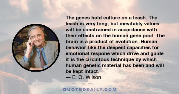 The genes hold culture on a leash. The leash is very long, but inevitably values will be constrained in accordance with their effects on the human gene pool. The brain is a product of evolution. Human behavior-like the