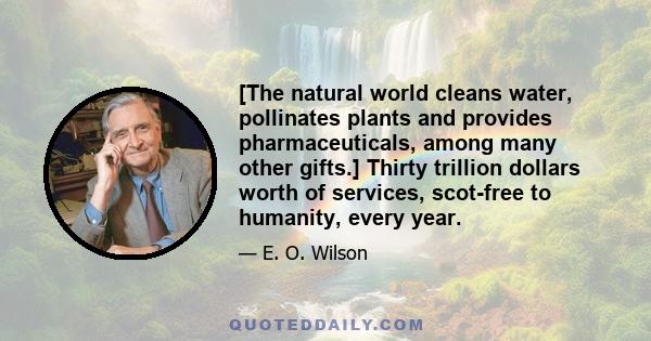 [The natural world cleans water, pollinates plants and provides pharmaceuticals, among many other gifts.] Thirty trillion dollars worth of services, scot-free to humanity, every year.