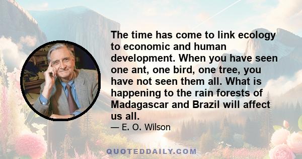 The time has come to link ecology to economic and human development. When you have seen one ant, one bird, one tree, you have not seen them all. What is happening to the rain forests of Madagascar and Brazil will affect 