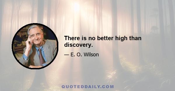 There is no better high than discovery.