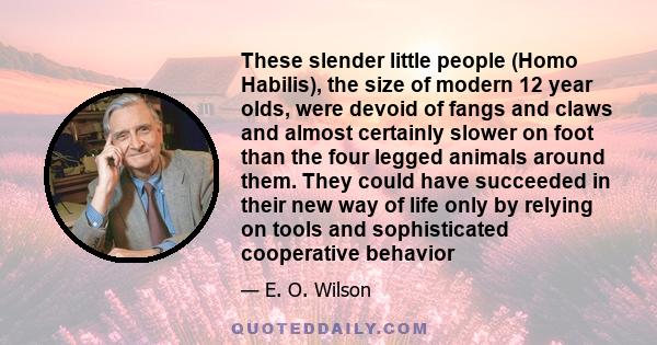 These slender little people (Homo Habilis), the size of modern 12 year olds, were devoid of fangs and claws and almost certainly slower on foot than the four legged animals around them. They could have succeeded in