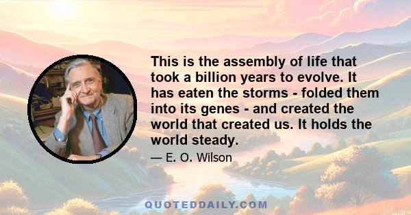 This is the assembly of life that took a billion years to evolve. It has eaten the storms - folded them into its genes - and created the world that created us. It holds the world steady.