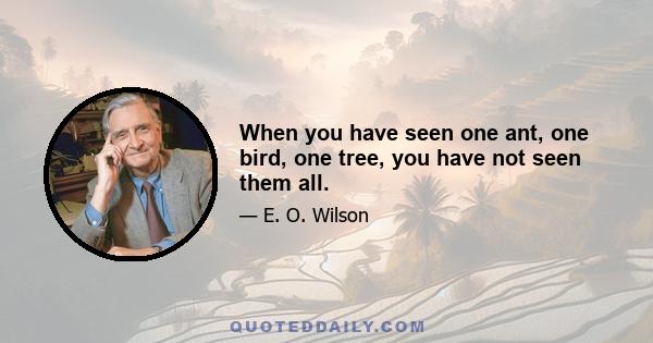 When you have seen one ant, one bird, one tree, you have not seen them all.