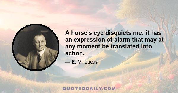 A horse's eye disquiets me: it has an expression of alarm that may at any moment be translated into action.