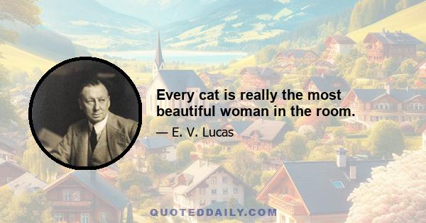 Every cat is really the most beautiful woman in the room.