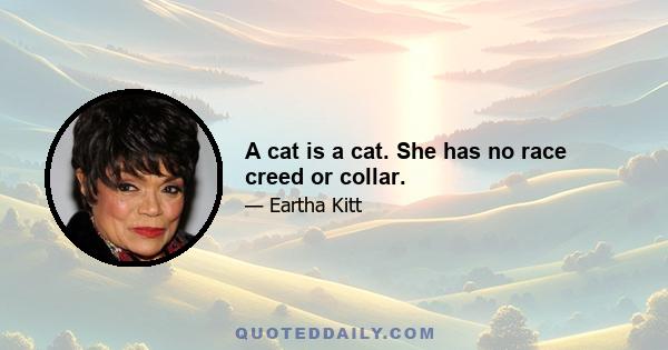 A cat is a cat. She has no race creed or collar.