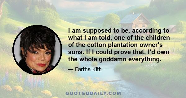 I am supposed to be, according to what I am told, one of the children of the cotton plantation owner's sons. If I could prove that, I'd own the whole goddamn everything.