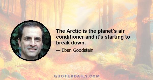 The Arctic is the planet's air conditioner and it's starting to break down.