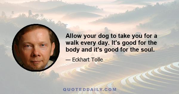 Allow your dog to take you for a walk every day. It's good for the body and it's good for the soul.