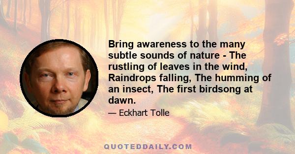 Bring awareness to the many subtle sounds of nature - The rustling of leaves in the wind, Raindrops falling, The humming of an insect, The first birdsong at dawn.