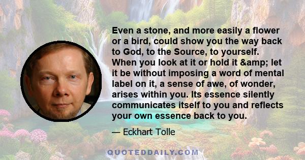 Even a stone, and more easily a flower or a bird, could show you the way back to God, to the Source, to yourself. When you look at it or hold it & let it be without imposing a word of mental label on it, a sense of