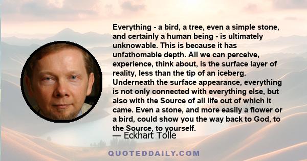 Everything - a bird, a tree, even a simple stone, and certainly a human being - is ultimately unknowable. This is because it has unfathomable depth. All we can perceive, experience, think about, is the surface layer of