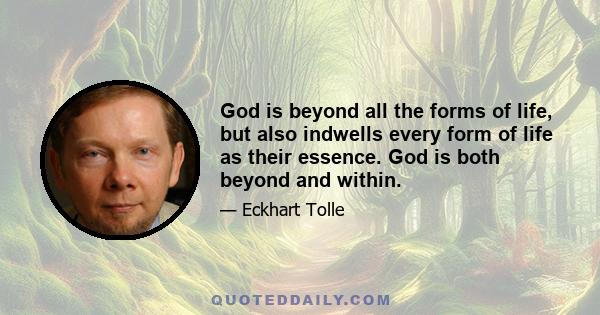 God is beyond all the forms of life, but also indwells every form of life as their essence. God is both beyond and within.