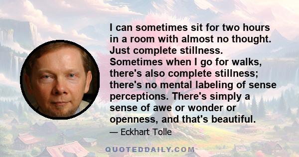 I can sometimes sit for two hours in a room with almost no thought. Just complete stillness. Sometimes when I go for walks, there's also complete stillness; there's no mental labeling of sense perceptions. There's