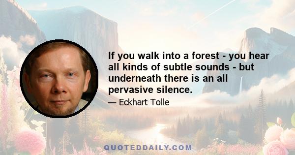 If you walk into a forest - you hear all kinds of subtle sounds - but underneath there is an all pervasive silence.