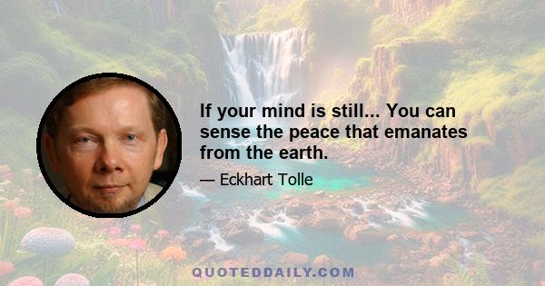 If your mind is still... You can sense the peace that emanates from the earth.