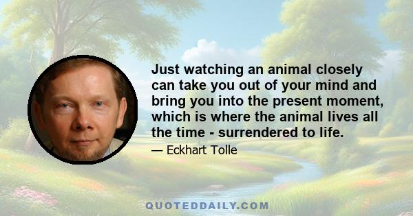 Just watching an animal closely can take you out of your mind and bring you into the present moment, which is where the animal lives all the time - surrendered to life.