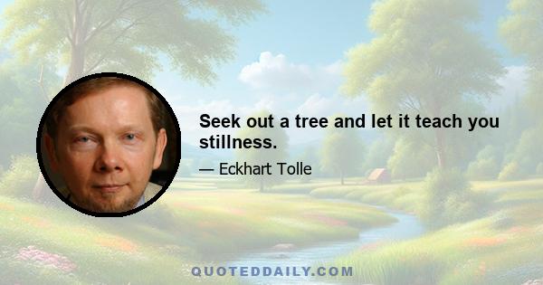 Seek out a tree and let it teach you stillness.