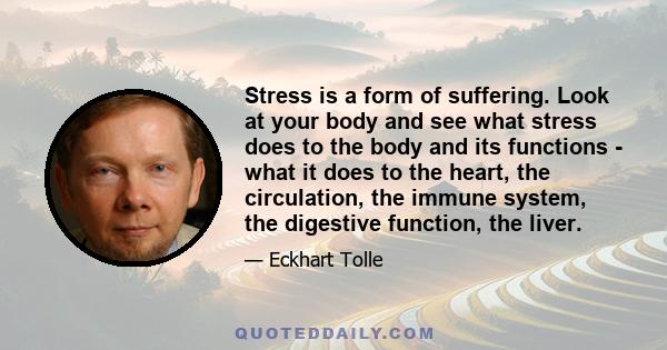 Stress is a form of suffering. Look at your body and see what stress does to the body and its functions - what it does to the heart, the circulation, the immune system, the digestive function, the liver.