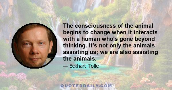 The consciousness of the animal begins to change when it interacts with a human who's gone beyond thinking. It's not only the animals assisting us; we are also assisting the animals.