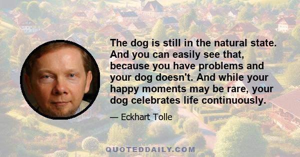 The dog is still in the natural state. And you can easily see that, because you have problems and your dog doesn't. And while your happy moments may be rare, your dog celebrates life continuously.