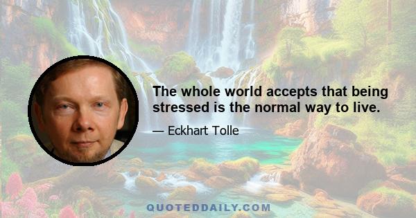 The whole world accepts that being stressed is the normal way to live.