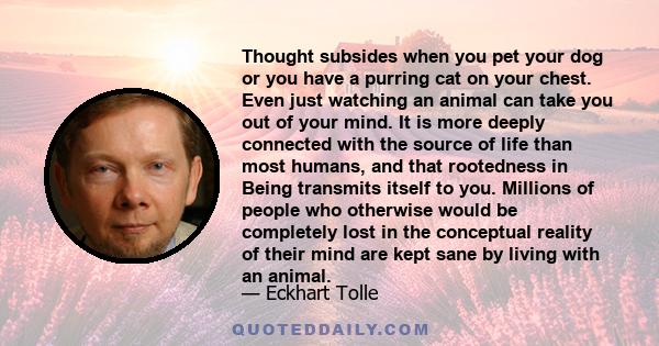 Thought subsides when you pet your dog or you have a purring cat on your chest. Even just watching an animal can take you out of your mind. It is more deeply connected with the source of life than most humans, and that