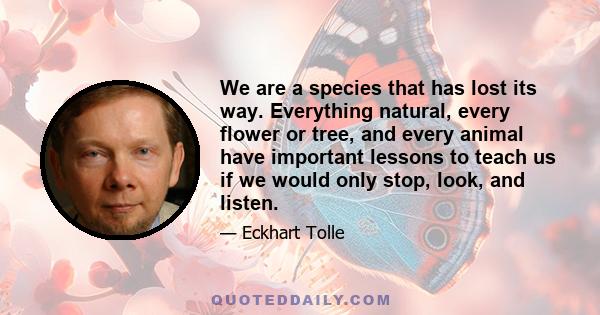 We are a species that has lost its way. Everything natural, every flower or tree, and every animal have important lessons to teach us if we would only stop, look, and listen.