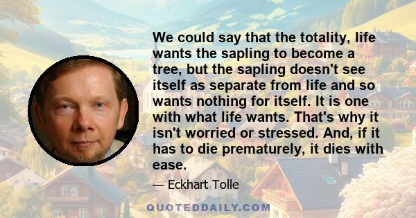 We could say that the totality, life wants the sapling to become a tree, but the sapling doesn't see itself as separate from life and so wants nothing for itself. It is one with what life wants. That's why it isn't