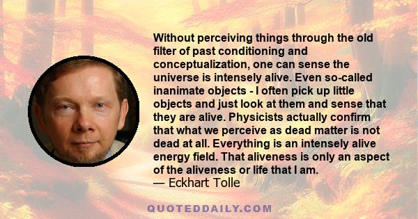 Without perceiving things through the old filter of past conditioning and conceptualization, one can sense the universe is intensely alive. Even so-called inanimate objects - I often pick up little objects and just look 