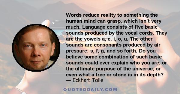 Words reduce reality to something the human mind can grasp, which isn’t very much. Language consists of five basic sounds produced by the vocal cords. They are the vowels a, e, i, o, u. The other sounds are consonants