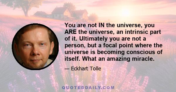 You are not IN the universe, you ARE the universe, an intrinsic part of it. Ultimately you are not a person, but a focal point where the universe is becoming conscious of itself. What an amazing miracle.