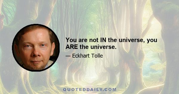 You are not IN the universe, you ARE the universe.