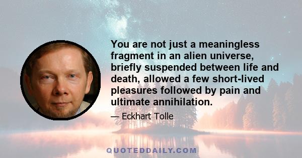 You are not just a meaningless fragment in an alien universe, briefly suspended between life and death, allowed a few short-lived pleasures followed by pain and ultimate annihilation.