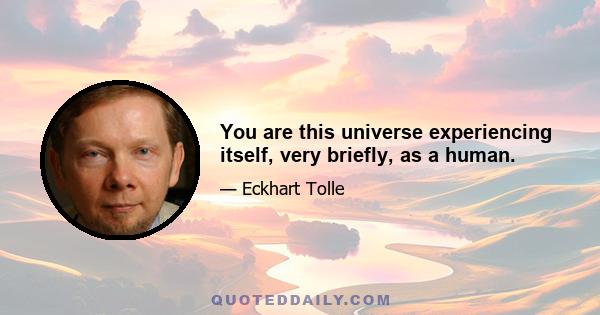 You are this universe experiencing itself, very briefly, as a human.