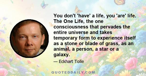 You don't 'have' a life, you 'are' life. The One Life, the one consciousness that pervades the entire universe and takes temporary form to experience itself as a stone or blade of grass, as an animal, a person, a star