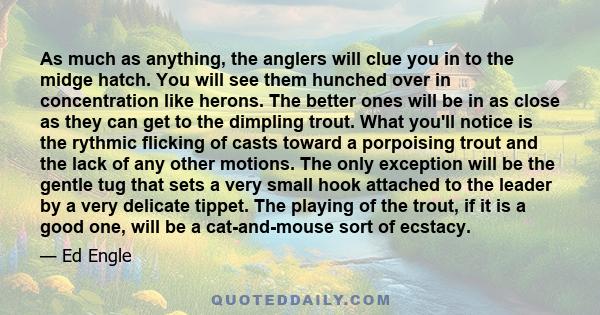 As much as anything, the anglers will clue you in to the midge hatch. You will see them hunched over in concentration like herons. The better ones will be in as close as they can get to the dimpling trout. What you'll