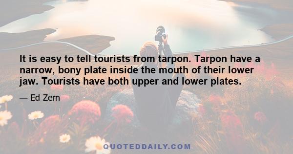 It is easy to tell tourists from tarpon. Tarpon have a narrow, bony plate inside the mouth of their lower jaw. Tourists have both upper and lower plates.