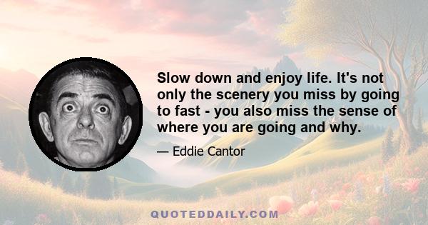 Slow down and enjoy life. It's not only the scenery you miss by going to fast - you also miss the sense of where you are going and why.