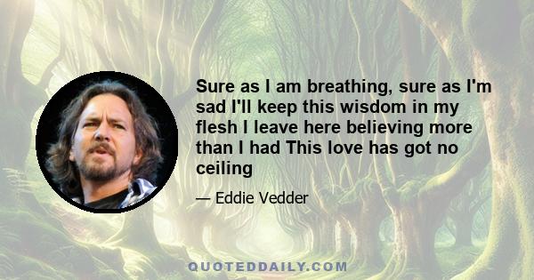 Sure as I am breathing, sure as I'm sad I'll keep this wisdom in my flesh I leave here believing more than I had This love has got no ceiling