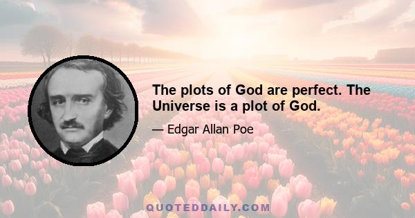 The plots of God are perfect. The Universe is a plot of God.